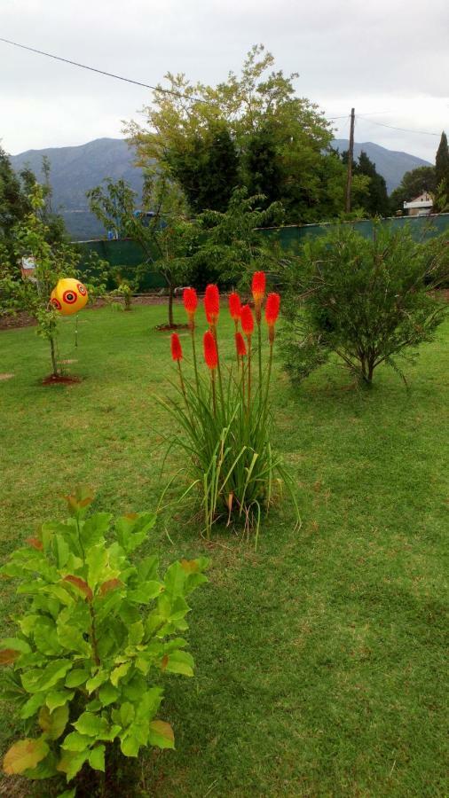 Apartments Duras Gruda Dış mekan fotoğraf
